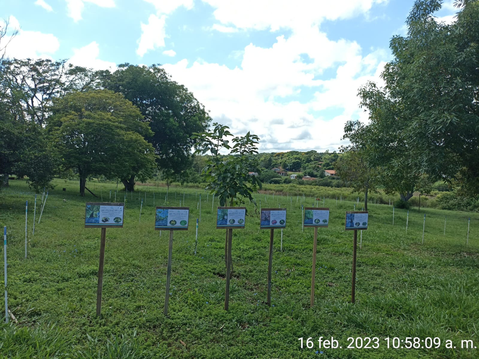 Más de 1000 plantines fueron plantados en Piribebuy como compensación forestal por obras de la Ruta PY02